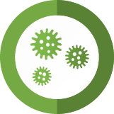 JT Mold Removal