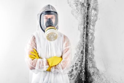 Green Mold Removal - Mold Inspection And Removal Starkville, Mississippi