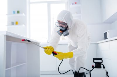 Home Disinfecting - Mold Inspection And Removal Holt, Michigan