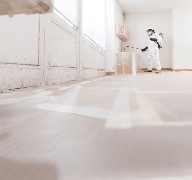 Air Duct Mold Removal in Jupiter, FL