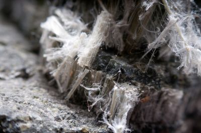 Asbestos Testing Service in Bergen County, NJ