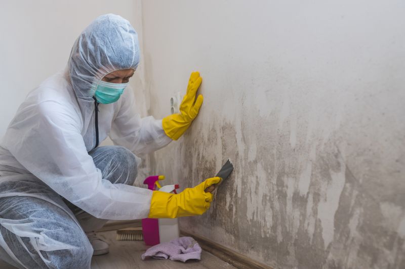 Attic Mold Removal in Essex County, NJ