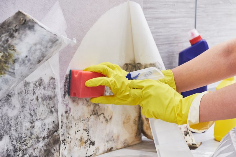 Attic Mold Removal in West Palm Beach, FL