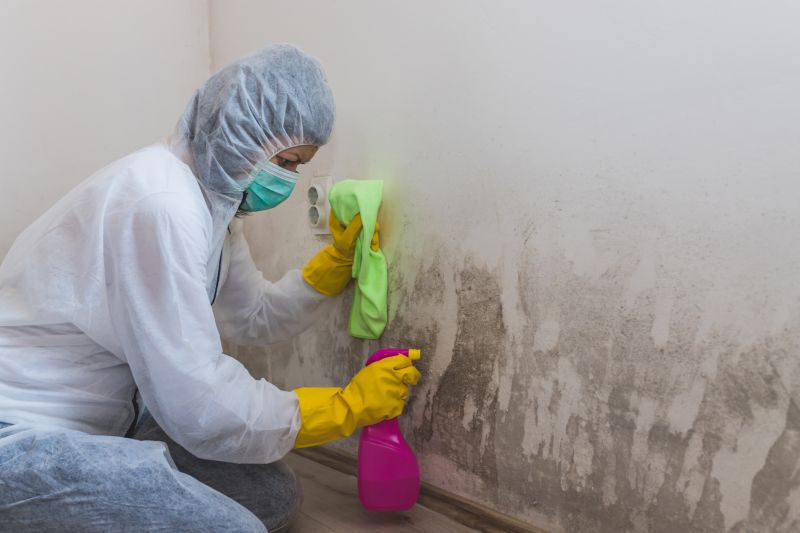 Attic Mold Removal in Frisco, TX