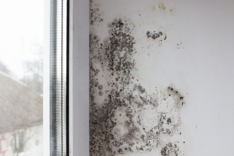 Attic Mold Removal in Jupiter, FL