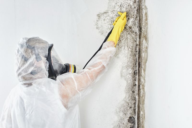 Black Mold Removal in Fort Lauderdale, FL