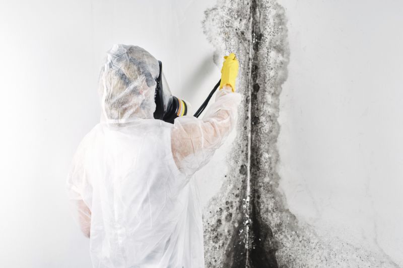 Garage Mold Remediation in West Palm Beach, FL