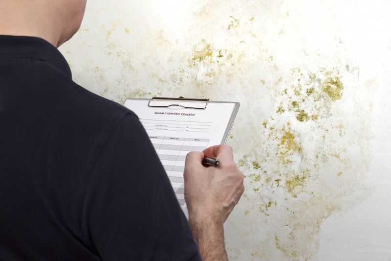Mold Inspection And Removal
