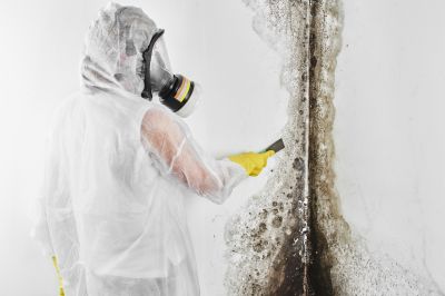 Mold Mitigation Service in Boca Raton, FL