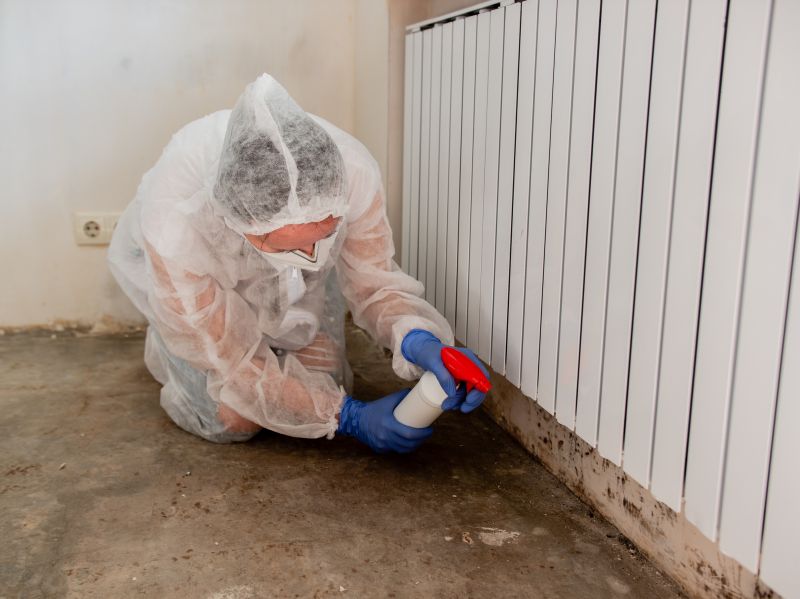 Mold Remediation Service in Dallas, TX