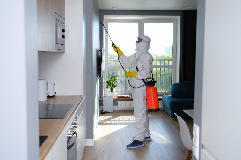 Mold Remediation Service in Fort Worth, TX