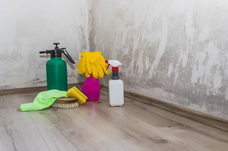 Mold Removal in Frisco, TX