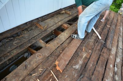 Roof Mold Removal - Mold Inspection And Removal Towson, Maryland